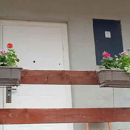 Seoska Idila Pansiyon