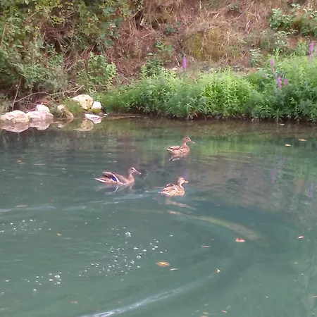 Seoska Idila Pansiyon Bela Palanka
